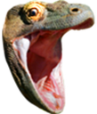 Komodo dragon smiling