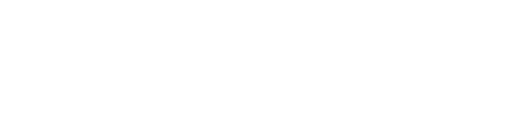 Fidelity